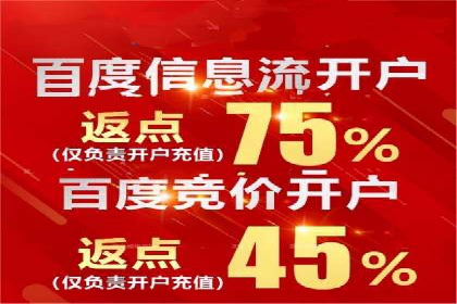 某企业通过百度SEM实现ROI最大化的案例